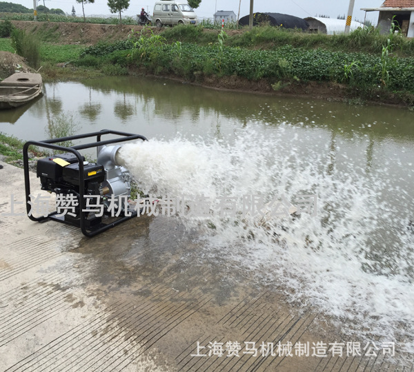 上海赞马水泵测试 (9)