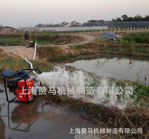 上海赞马水泵测试 (8)